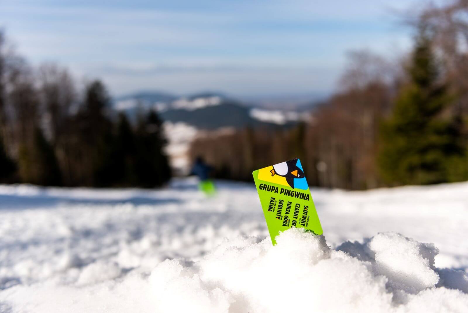 Grupa Pingwina - Kasina