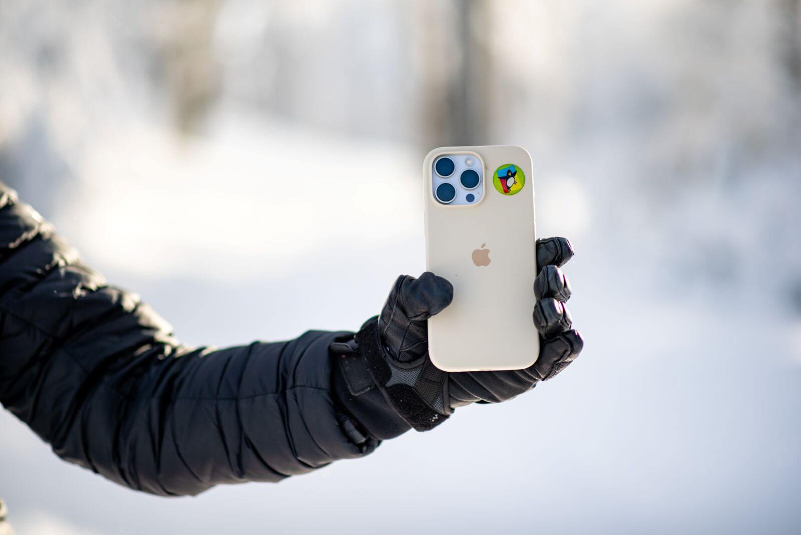 Stacja narciarska Kasina Ski& Bike Park - Kasina