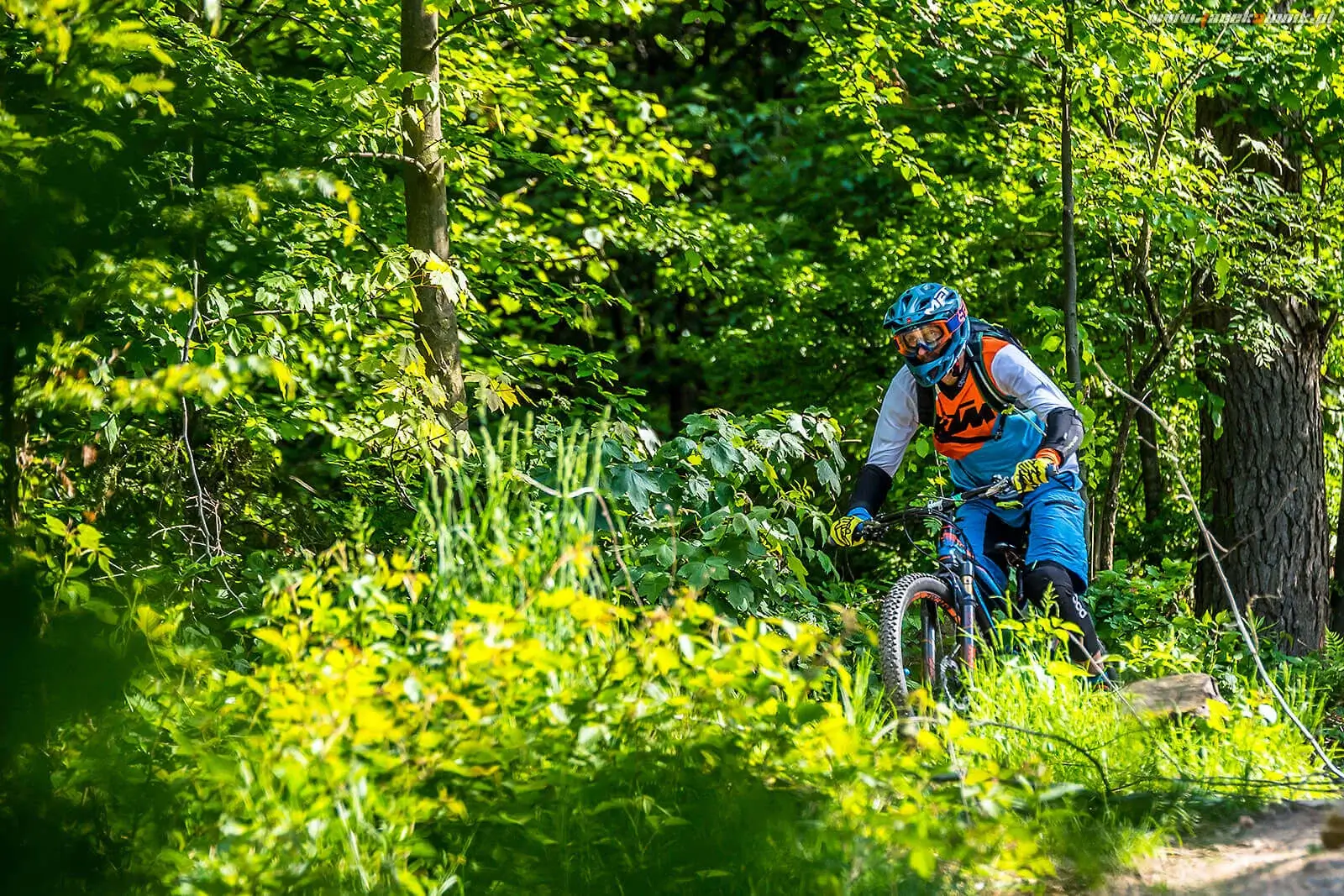 Bike Park Kasina - Kasina